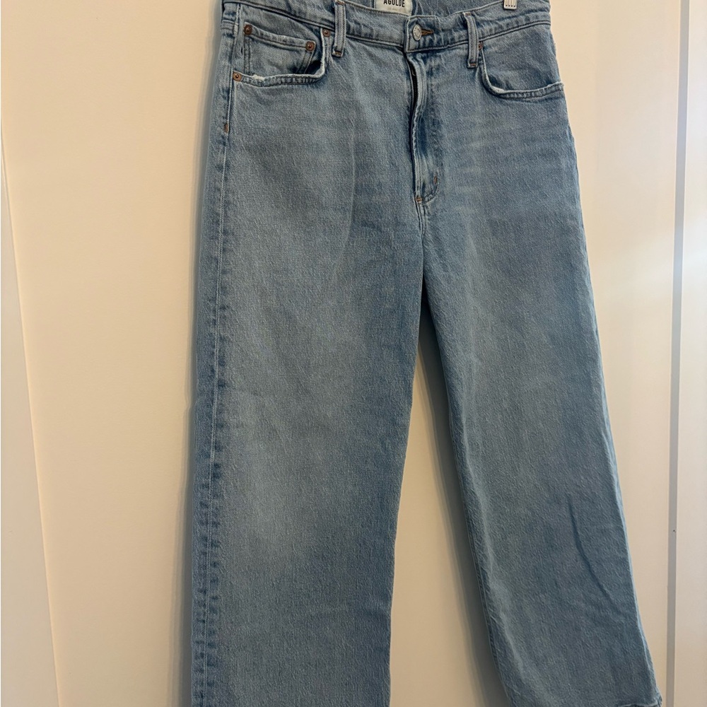 Agolde Ren Wide Leg Jean (Groove) Size 30 Waist